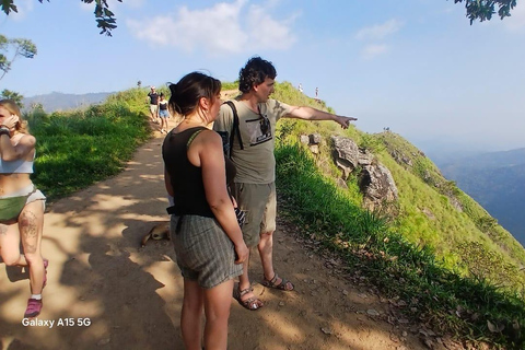 ELLA Lipton Seat Tea Test & Pluck 9Arch, Waterfalls, & Food Lipton's Seat, Little Adam Peak, 9 Arch, Ravana Waterfalls