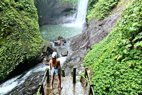 North Bali: Dolphin Swim, Snorkeling, & Waterfall Cliff Jump Small Group With Hotel Transfer Central Bali