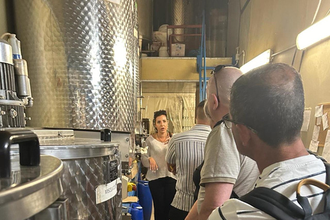 Sorrento: Visita a la Fábrica de Limoncello y Degustación