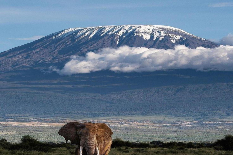 Da Nairobi: Safari di 5 giorni nei parchi nazionali di Amboseli e Tsavo