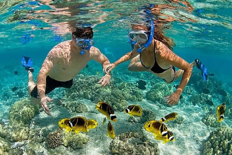 Zanzibar: Blue Lagoon Snorkeling, Starfish Beach & The Rock TOUR WITH HOTEL TRANSFER