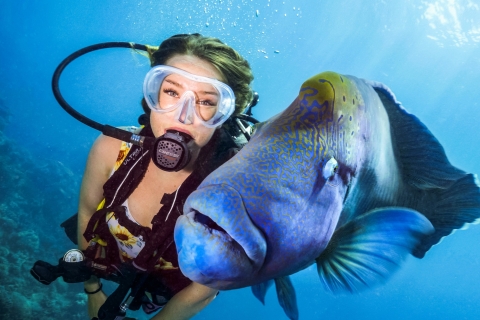 Ab Cairns: Premium-Schnorchel-Tour zum Great Barrier ReefPremiumtour zum Great Barrier Reef für zertifizierte Taucher