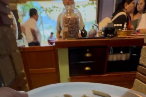 Oaxaca: Private tour to Monte Albán, El Tule Tree, and Teotitlán Oaxaca: Private tour to Monte Albán, Árbol del Tule, and Teotitlán