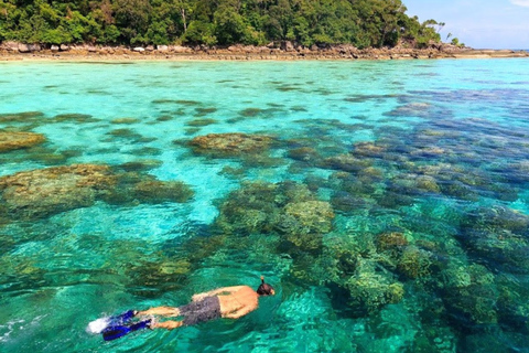 Phuket/Khao Lak: Ko Surin – 3-Riff-Schnorcheln-MeisterwerkAbholung vom Hotel in Phuket