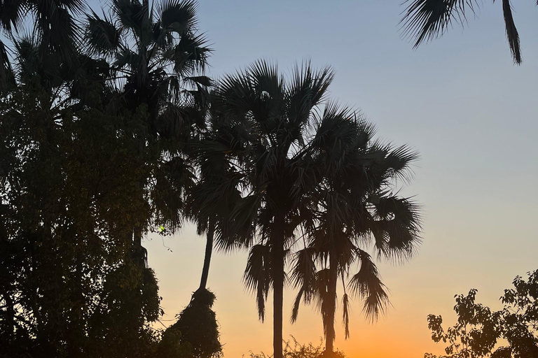 Sunset mokoro tour in Maun, a taste of the Okavango Delta