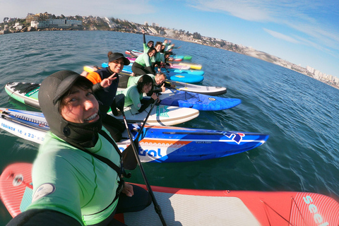 From Valparaíso: Concón Birdwatching & Sunset SUP Tour