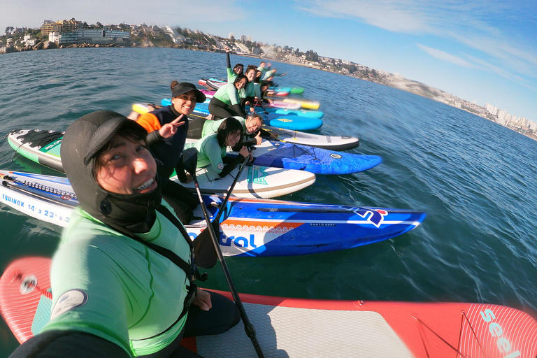 From Valparaíso: Concón Birdwatching & Sunset SUP Tour