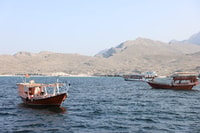Khasab, Half-Day Dhow Cruise, Dolphin Watching, & Snorkeling - Housity