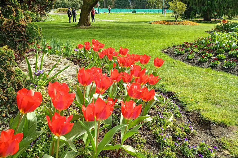 Vancouver City Tour+Stanley Park+Granville Island+China+Gas
