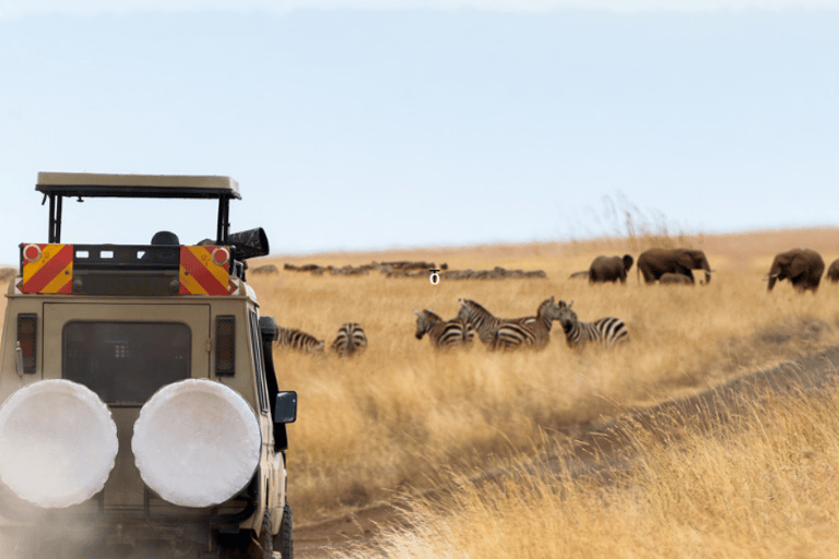 Maasai Mara Magic:3-day Safari adventure