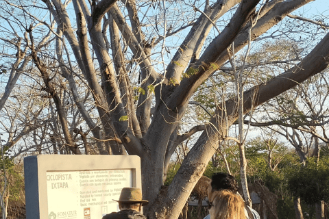 Ixtapa: Excursão para observação de pássaros com transporte de ida e voltaOaxaca: Excursão de observação de pássaros com transporte de ida e volta