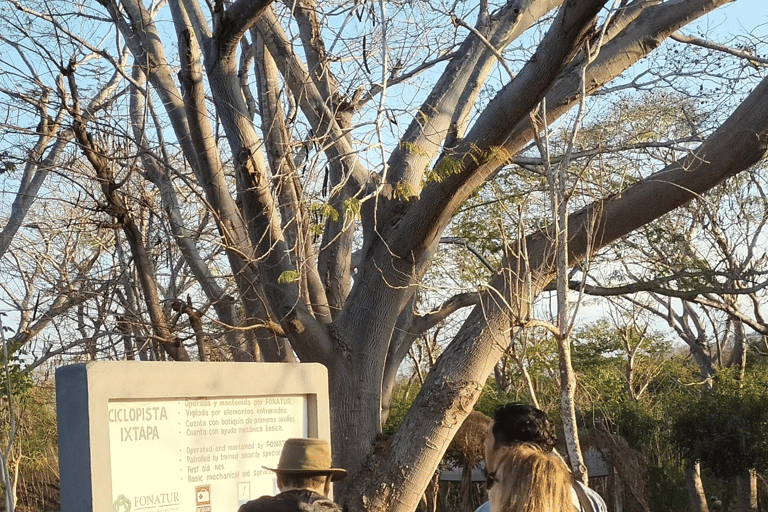 Oaxaca: Excursión de observación de aves con transporte de ida y vuelta