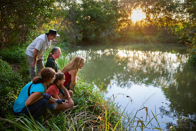 From Cairns: Rainforest & Nocturnal Wildlife Tour Tour from Central Cairns