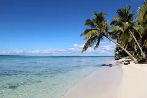 Punta Cana: Catamarano per l'isola di Saona con pranzo a buffet