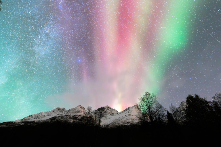 Tromsø: Aurora Quest Minibus Adventure