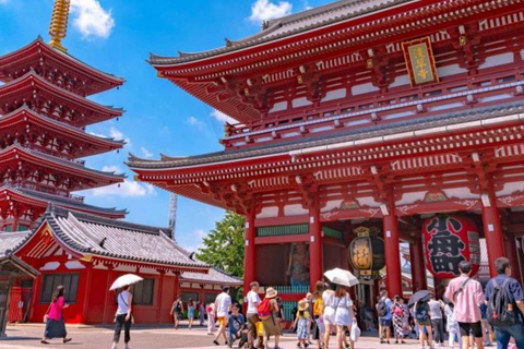 Tokyo City Private Day Tour By English Speaking Driver