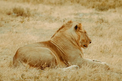 Zanzibar: 4-Day Mid-Range Safari Special for Honeymooners