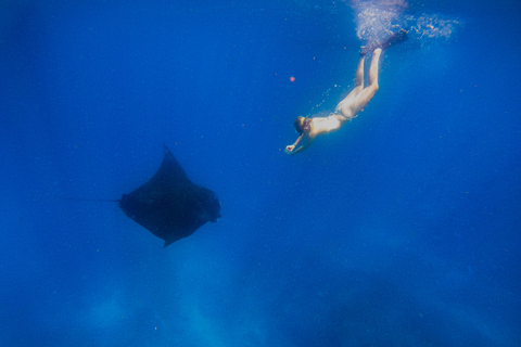 Nusa Penida: Ganztägiges Schnorcheln mit Manta-Rochen am Manta PointSchnorcheln und Westland Tour (Treffpunkt - Penida Port)