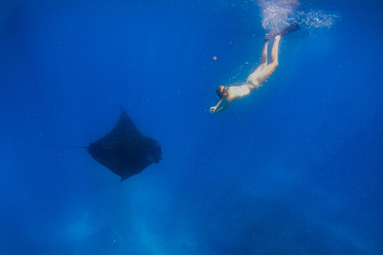 Nusa Penida: Ganztägiges Schnorcheln mit Manta-Rochen am Manta PointSchnorcheln und Westland Tour (Treffpunkt - Penida Port)