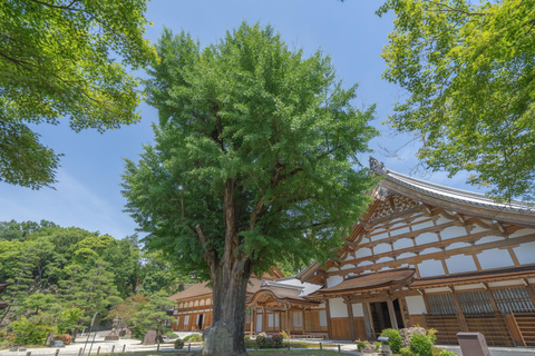 Från Nagoya: Enakyo, Magome-juku &amp; Tsumago-juku 1D BussturKinesiska (8:20 Mötesplats)