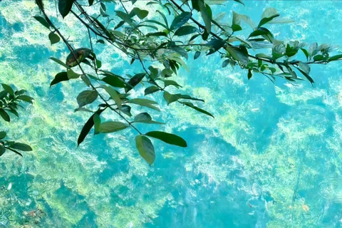 Zhangjiajie: Private Day Tour to Forest Park & Whip Stream Independent group of 1-5 people - English