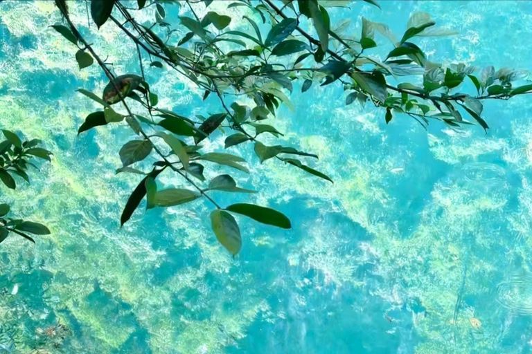 Zhangjiajie: Private Day Tour to Forest Park & Whip Stream Independent group of 1-5 people - English