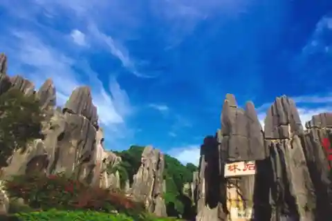 Частный тур в Каменный лес Куньмина