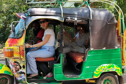 From Dambulla: Polonnaruwa Private Tuk-Tuk Tour with Guide