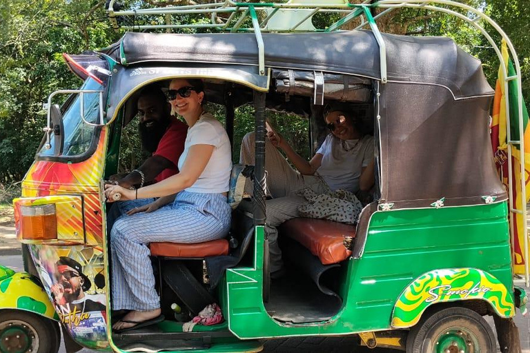 From Dambulla: Polonnaruwa Private Tuk-Tuk Tour with Guide