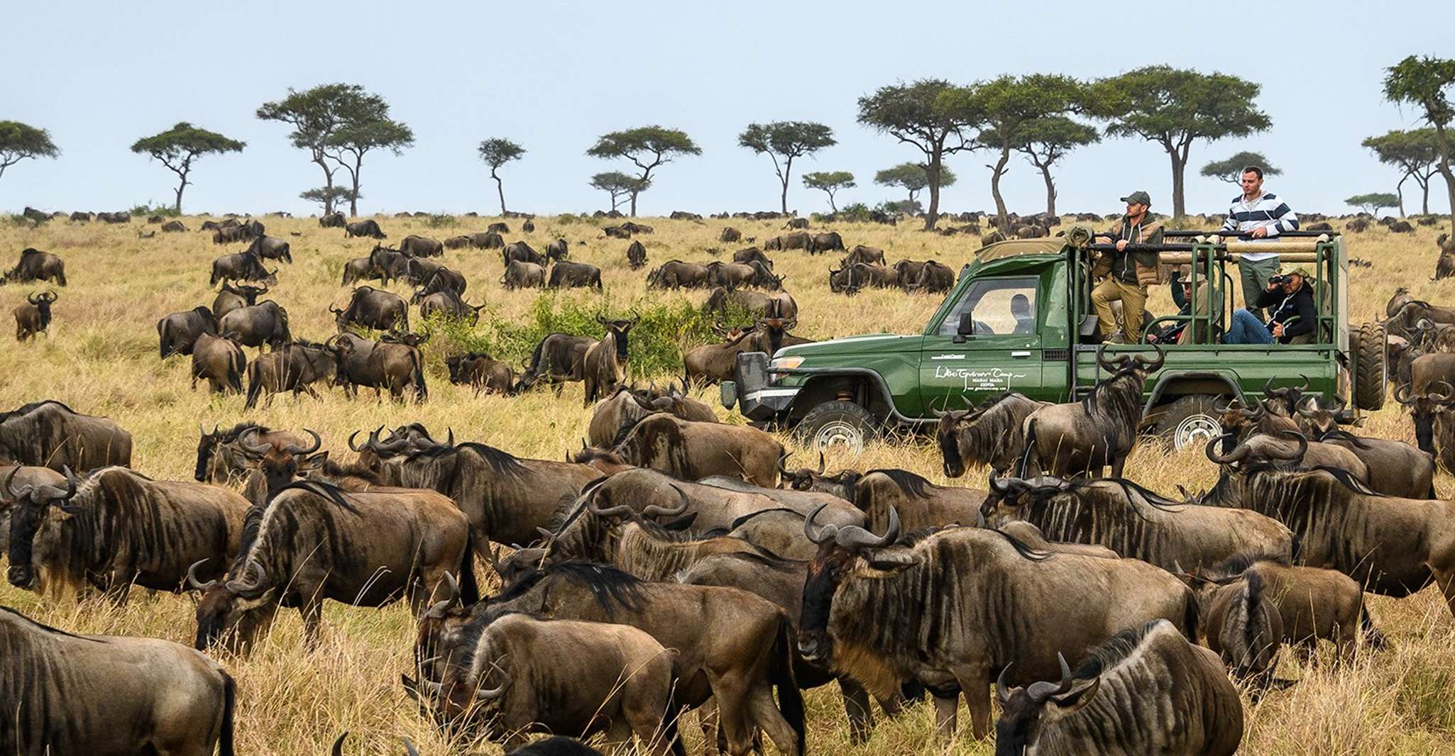 Maasai Magic & Nakuru's Charms, 4-Day Wilderness Safari - Housity