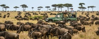 MAASAI MAGIC & NAKURU'S CHARMS, 4 jours Wilderness Safari - Housity