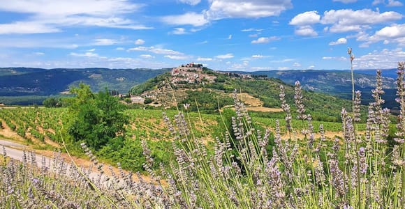 Istria, Croatia: Premium 7-Day Food & Wine Tour by E-Bike
