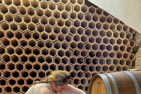 Douro Valley: Wine & Olive Oil Tour with Boat & Lunch Douro Valley: 2 Wineries, Boat Cruise & Traditional Lunch