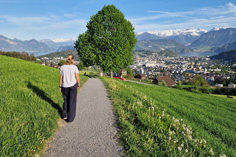 Lucerne : visite de la campagne en petit groupe avec dégustation de fromages