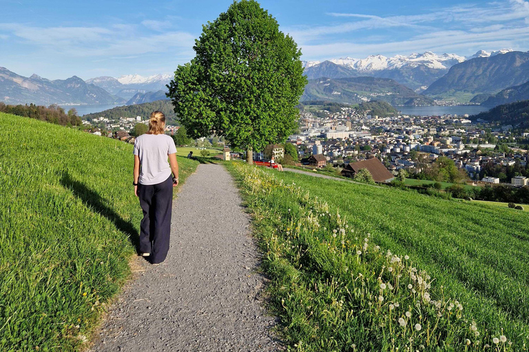Lucerne : visite de la campagne en petit groupe avec dégustation de fromages