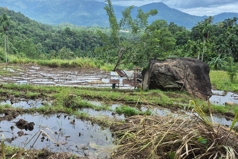 Esplora le cascate iconiche di Ella con un&#039;avventura panoramica in tuk-tuk