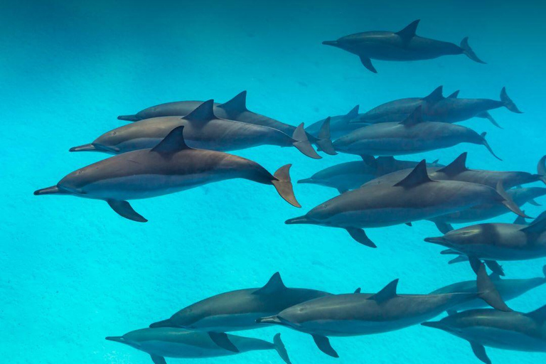 Zanzíbar: excursión a la cueva de Salaam y almuerzo en el restaurante The Rock