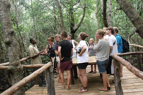 Zanzibar: Jozani Forest with Mangrove Boardwalk Experience Private Tour with Transfers (Anywhere in Zanzibar)