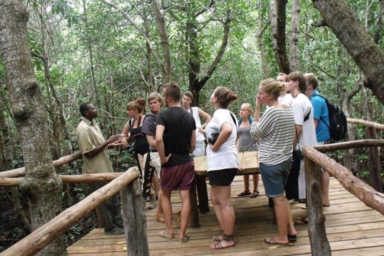 Zanzibar: Jozani Forest with Mangrove Boardwalk Experience Private Tour with Transfers (Anywhere in Zanzibar)