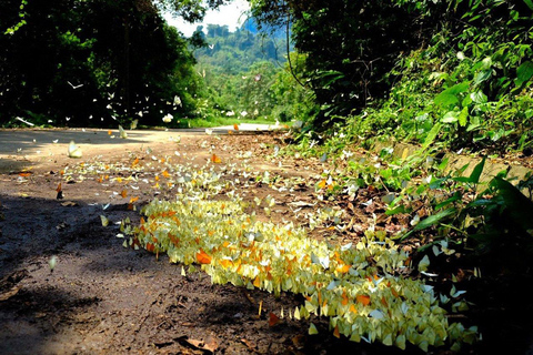 Cuc Phuong National Park Van Long Reserve Private Day Trip