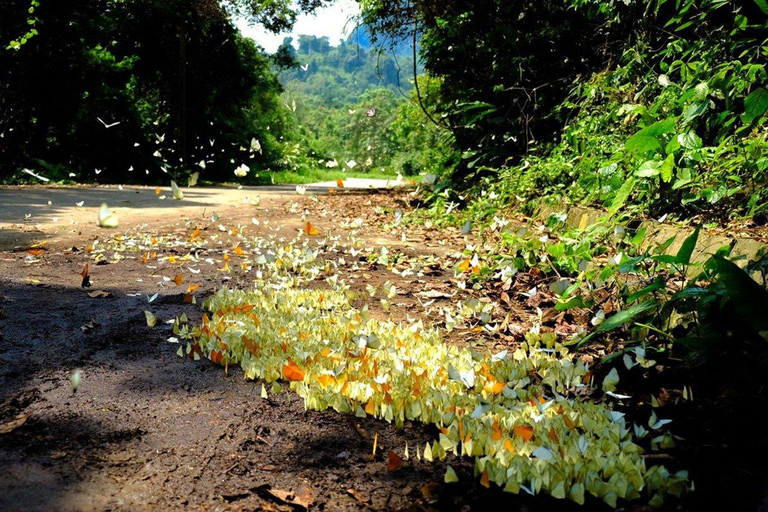 Cuc Phuong nationalpark Van Long-reservatet Privat dagsutflykt