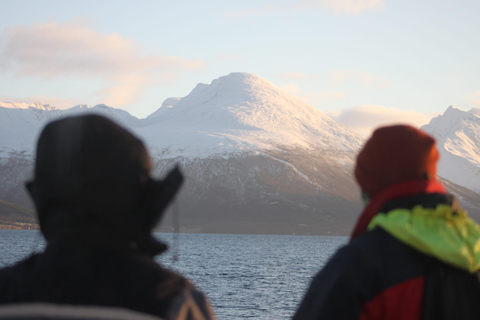 Tromsø: 2-Hour Island Tour Cruise with Snacks and Drinks