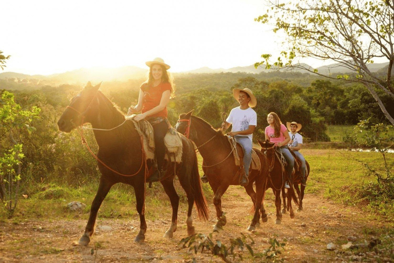Punta Cana: Los Haitises Park, Horseback Ride & Lunch Tour