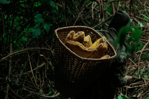 Wild Honey Hunting Tour in Lamjung