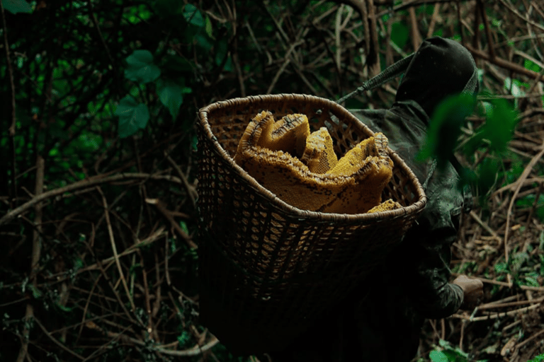 Wild Honey Hunting Tour in Lamjung