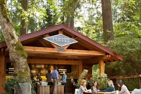 Vancouver Grouse Mountain & Capilano Suspension Bridge