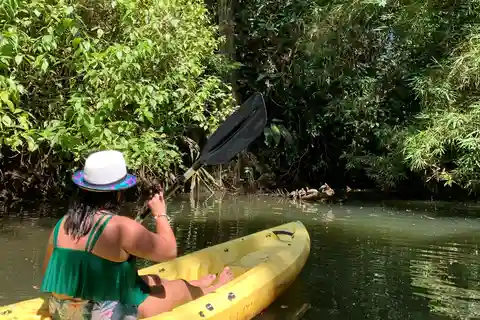 EXPERIENCIA CARIBEÑA - PUNTA UVA