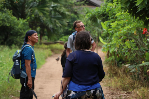 Chiang Mai: Full Day 5 Hill Tribes Tour Transport by Van