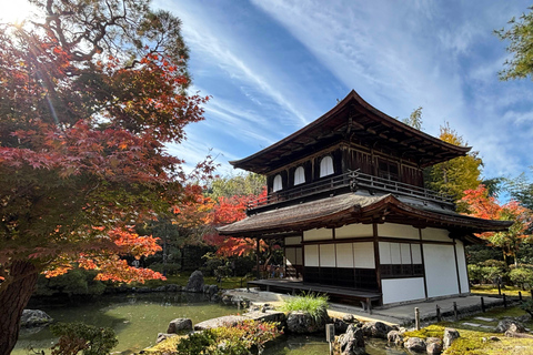 Kyoto: Higashiyama Premium E-Bike Tour with guide