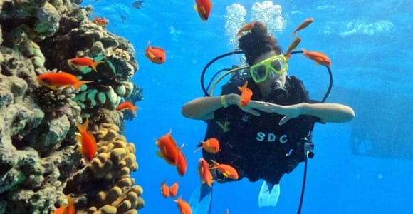 Fethiye Scuba Diving Tour: Free Shuttle - Lunch on Board Included